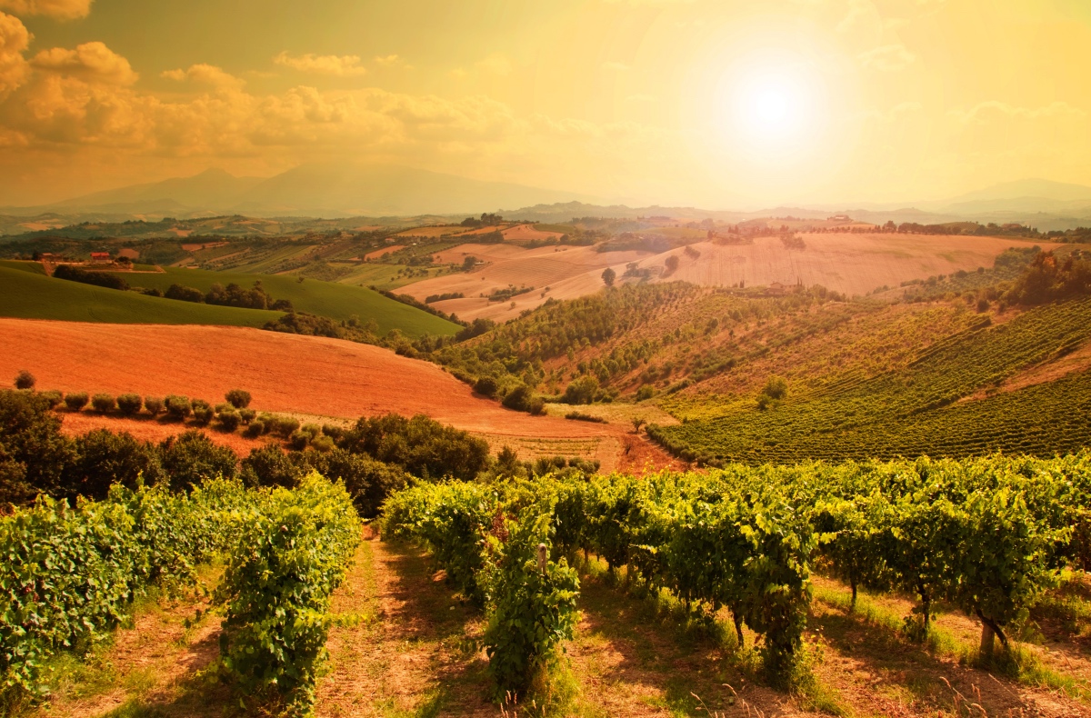 Five fall wine festivals in Tuscany Italiarail